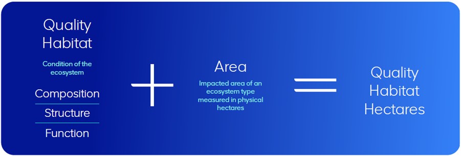 Measuring Net Positive Impact using Quality Habitat Hectares (QHH)