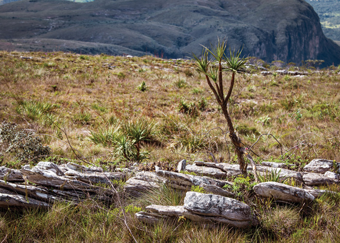 It’s time to give nature a helping hand