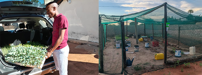 Zimele: supporting communities by creating opportunities