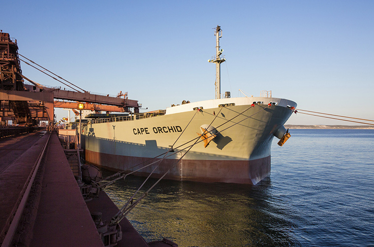 A lower carbon future for shipping: our efforts