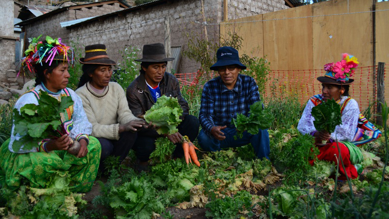 people-with-vegetables