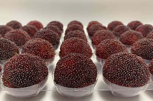 Meet the technology with the potential to transform the global food system