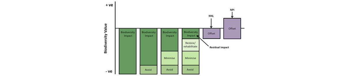 Why business needs to achieve a net positive impact to biodiversity