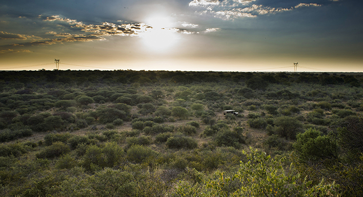 biodiversity strategy image