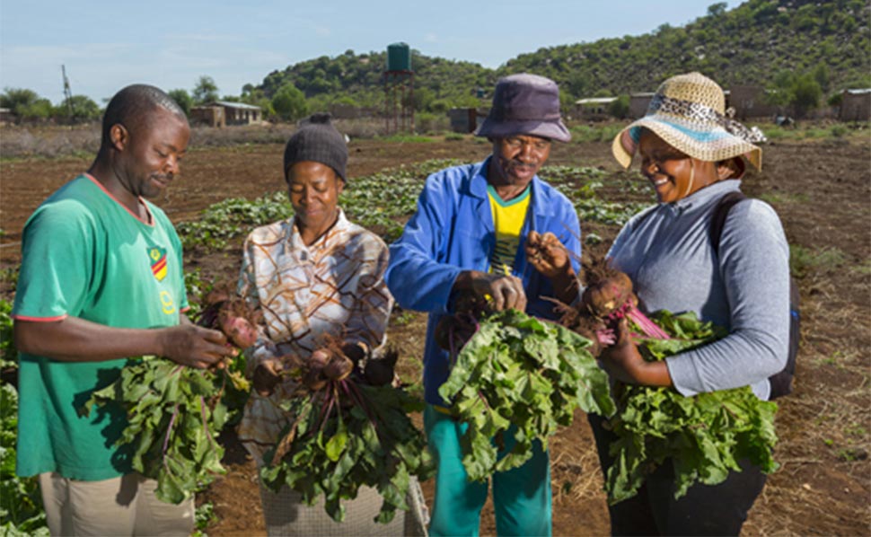 International Volunteers Day