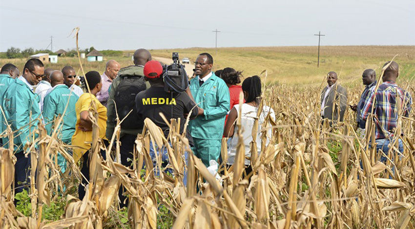 Lambasi agricultural initiative 1