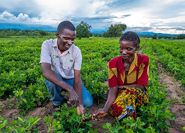 Impact Finance Network: building partnerships to unlock sustainable value