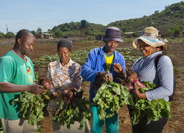 International Volunteers Day