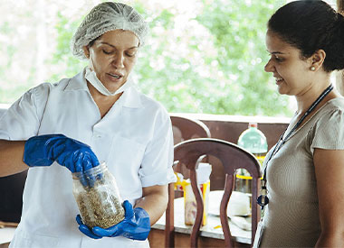 Local cheese producer in Brazil