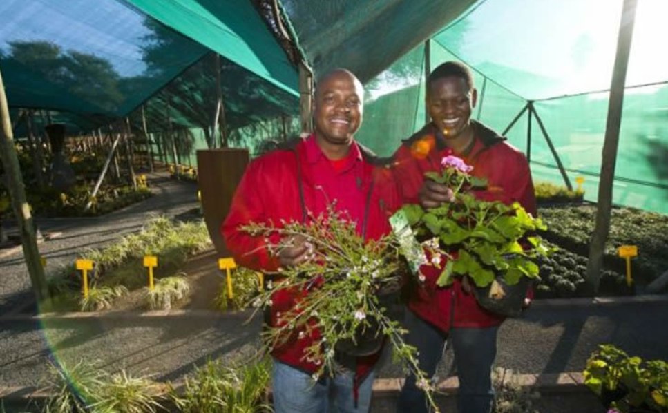Two men with flowers