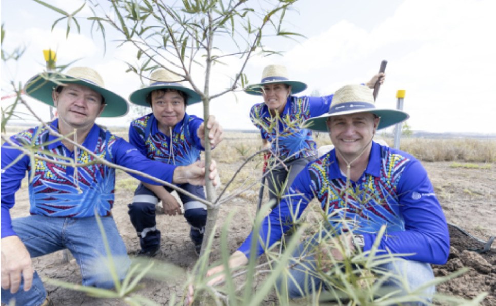 Mens are growing plant