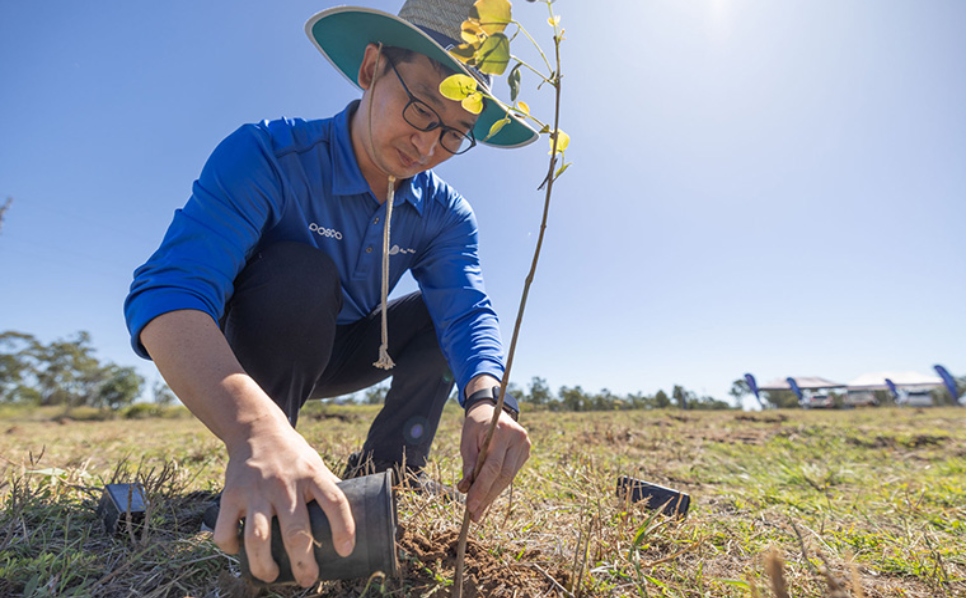 Planting tree