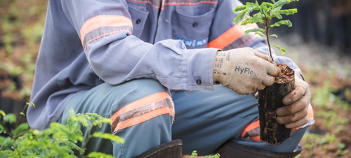 Working across the value chain to address nature-related risks and opportunities