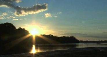 Preserving biodiversity in Brazil