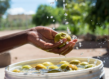 World Water Day 2021