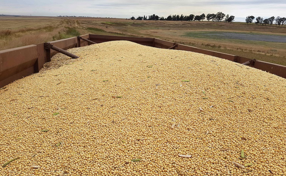 Kriel makes major breakthrough in land rehabilitation