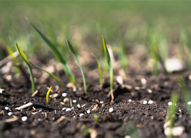 Crop Nutrients: sowing the seeds of the future 
