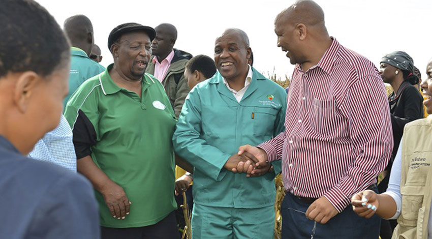 Lambasi agricultural initiative 3
