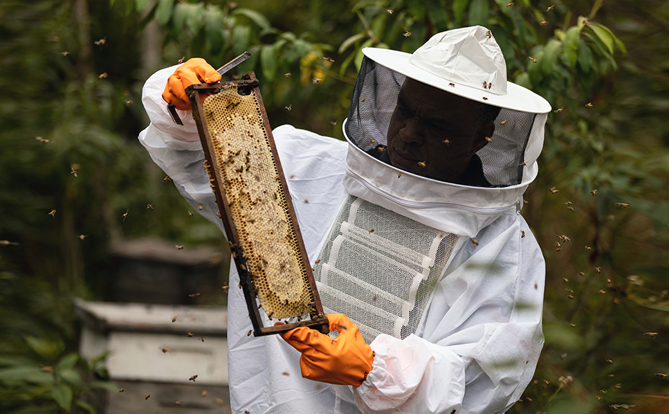 Our Commitment to Nature and Delivering Net Positive Outcomes