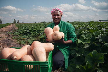 7. High quality organic fertilizer improves farmers' yields by 30%.